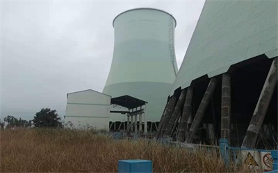 藻類對循環(huán)冷卻水系統的危害 藻類對循環(huán)冷卻水系統的危害